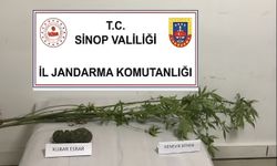 Sinop’ta çok miktarda narkotik madde ele geçirildi