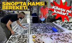 Sinop'ta tezgahlar hamsiyle şenlendi