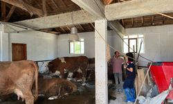 Tarım ve Orman Müdürlüğü ekipleri üreticilerle buluştu