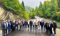 Milletvekili Maviş, Türkeli Çatak Köyü grup yolunu inceledi