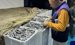 Avlanan balıklara boy kontrolü