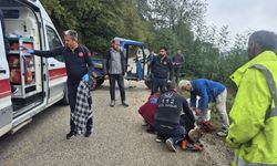 Devrilen tarım aracındaki 2 kişi yaralandı