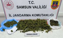 Narkotik operasyonunda 1 şüpheli yakalandı