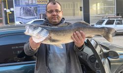 Oltaya takılan balığı görenler şaşkınlığını gizleyemedi