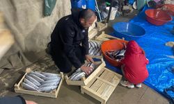 Bir gecede 3 bin 200 palamut avlandı