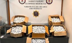 Tıra gizlenmiş 153 bin 615 sentetik ecza hap bulundu
