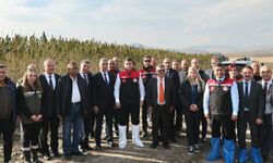 Yerli ve milli vezir kenevir türünün hasadı başladı