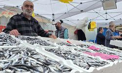 Zonguldak'ta hamsi bolluğu yaşanıyor
