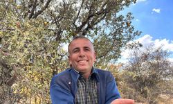 Alıç meyvesi hasadı başladı