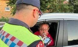 Alkollü sürücüye 9 bin lira ceza