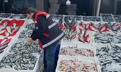 Balıkçı tezgahları denetlendi