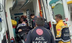 Dolmuş minibüs kaldırıma çarptı: 2 yaralı