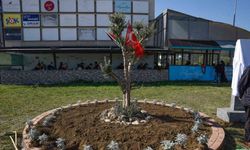Filistin için "zeytin ağacı anıtı" dikildi