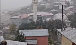 Giresun yaylalarında kar süprizi