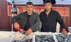 Hamsinin fiyatı 75 liraya düştü