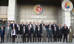 Kokarca zararlısı Samsun'un gündeminde