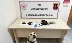 Narkotik operasyonunda 5 şüpheli tutuklandı