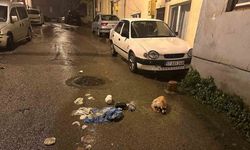 Sinop’ta sokağa bırakılan çöpler tepki topladı