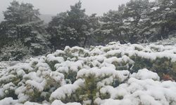 Tokat'ın yüksek kesimlerinde kar yağışı