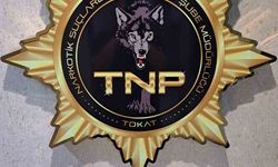 Tokat’ta narkotik operasyonu