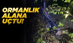 Yoldan çıkan araç ormanlık alana uçtu