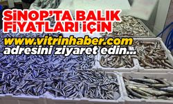 Sinop’ta balık bereketi: İşte fiyatlar…