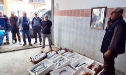 Mezat kültürü, balıkçılık kenti Sinop'ta yaşatılıyor