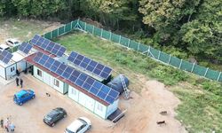 Büro-İş Sendikası'ndan hayvan barınağı tepkisi