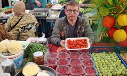 Sinop ormanlarının gizli şifası pazar tezgahlarında