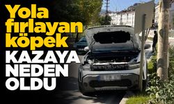 Yola atlayan başıboş köpek kazaya neden oldu