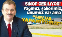 Eski müdür Tosun; "Sinop sınıfta kaldı"