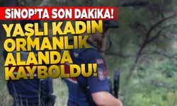 Sinop’ta yaşlı kadın ormanlık alanda kayboldu