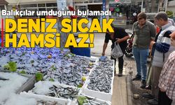 Deniz sıcaklığı hamsi avcılığını olumsuz etkiledi
