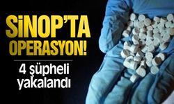 Sinop'ta narkotik operasyonu: 4 şüpheli yakalandı