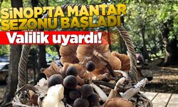 Sinop Valiliği'nden vatandaşlara “mantar toplama” uyarısı
