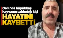 Büyükbaş hayvanın saldırdığı kişi öldü