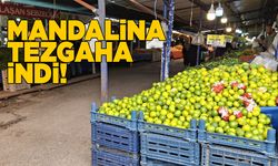 Kış meyvelerinin yıldızı mandalina tezgaha indi