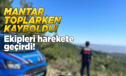 Mantar toplamaya giden vatandaş kayboldu!