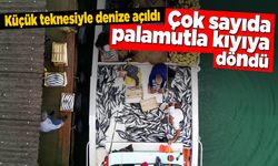 Sinop'ta balıkçı bol miktarda palamut avladı