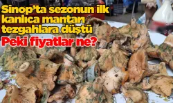 Kanlıca mantarı sezonu açıldı