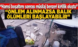 Sinop Demirci Köyü Limanı’nda kirlilik alarmı!