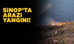 Sinop’ta çalılık alanda yangın