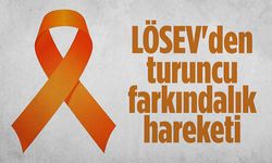 LÖSEV'den Turuncu Farkındalık Hareketi