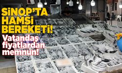 Sinop'ta balıkçı tezgahlarında hamsi bolluğu yaşanıyor