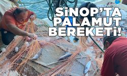 Sinop'ta bir balıkçı 3 bin palamut avladı