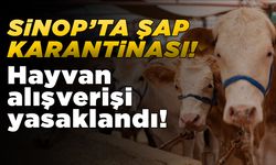 Sinop’ta bazı köyler şap nedeniyle karantinaya alındı