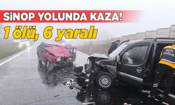 Sinop yolunda ticari araçla otomobil çarpıştı