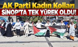 Sinop'ta kadınlar Gazze için meydana indi!