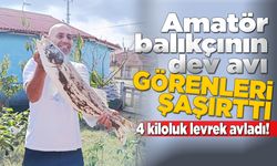 Sinop’ta oltaya 4 kiloluk levrek takıldı