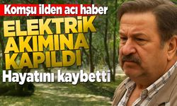 Kestiği ağaç elektrik tellerinin üzerine devrildi: Akıma kapılarak öldü